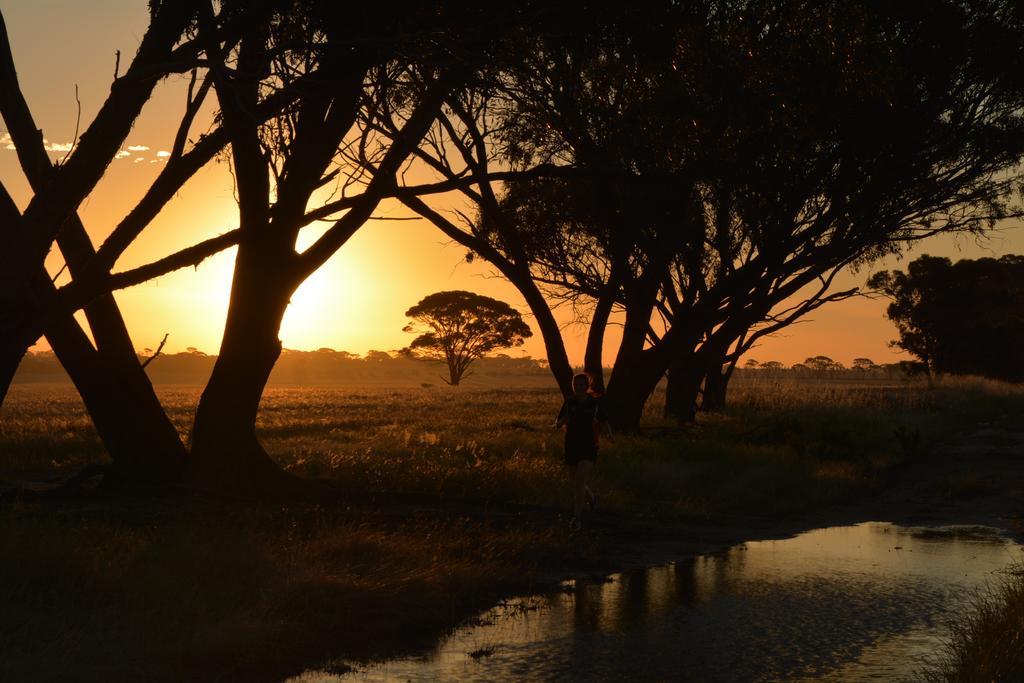 Mary'S Farm Cottages Kukerin エクステリア 写真