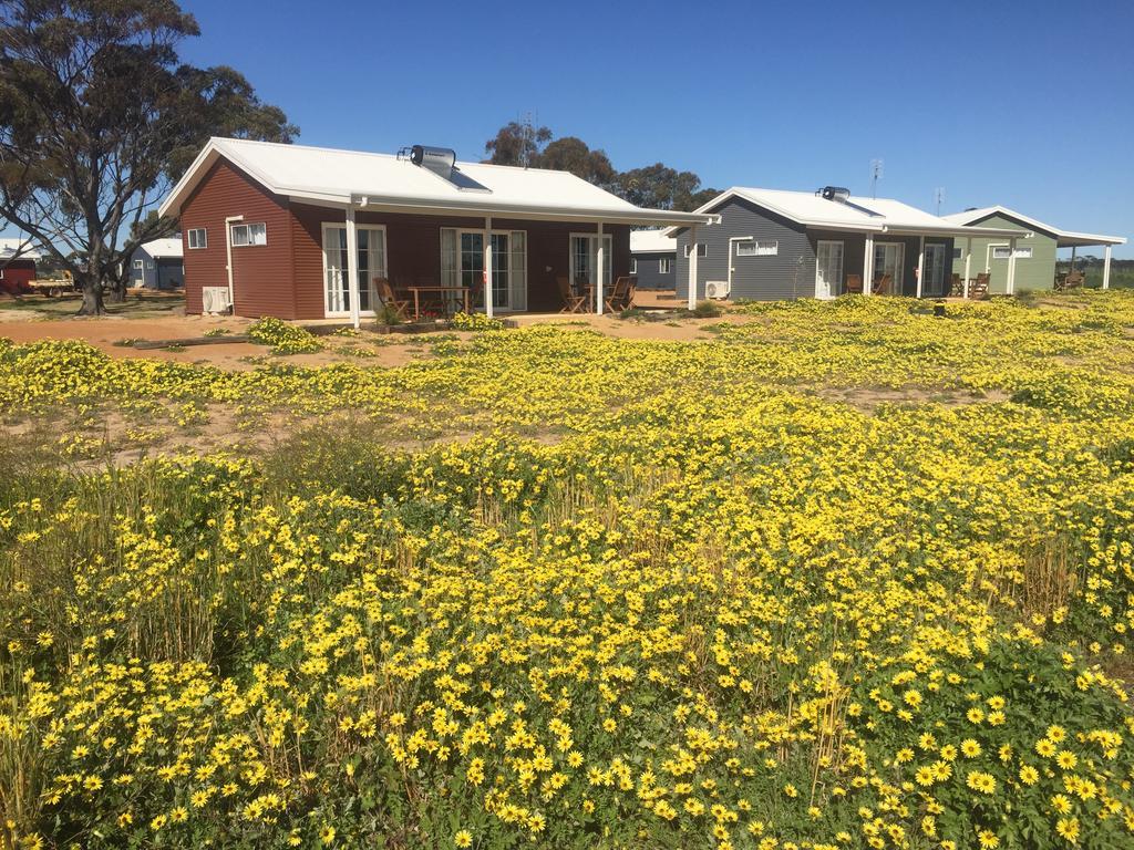 Mary'S Farm Cottages Kukerin エクステリア 写真