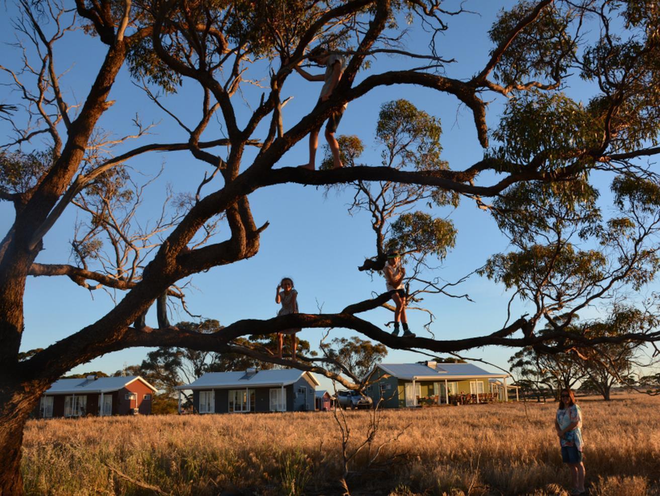Mary'S Farm Cottages Kukerin エクステリア 写真
