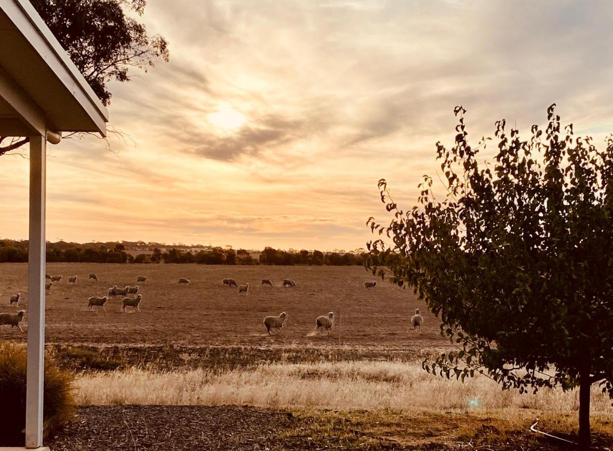 Mary'S Farm Cottages Kukerin エクステリア 写真